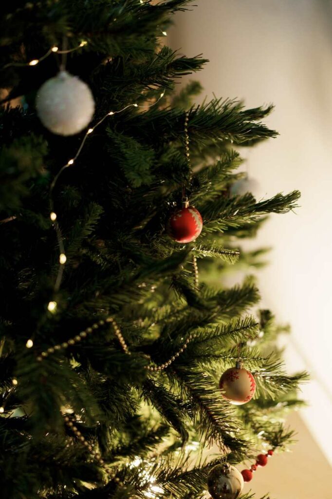 Pinheiros naturais para decoração de Natal! – Jotanunes