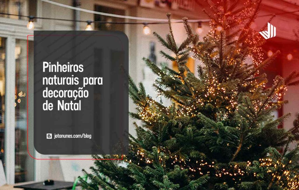 pinheiros-naturais-para-decoracao-de-natal